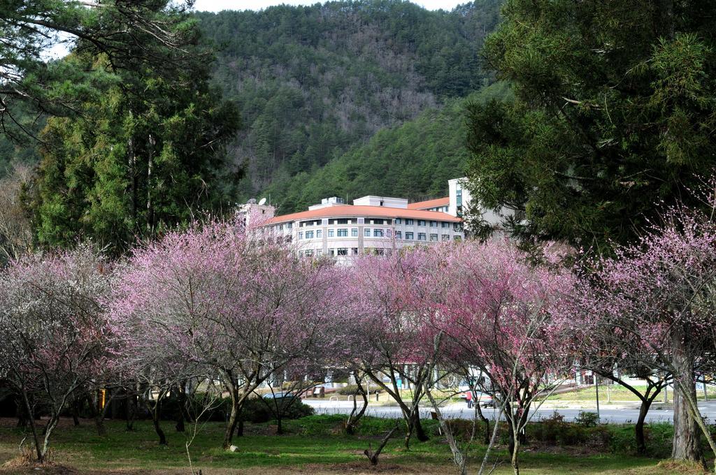 Hoya Resort, Wuling Heping  Luaran gambar